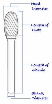 Oval Shape (SE)