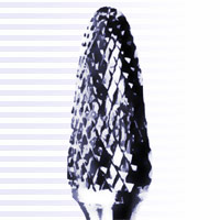 Carbide Bur before repair